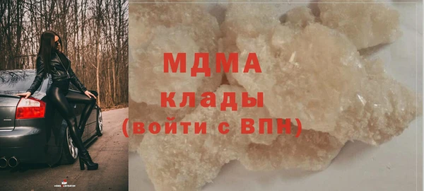 индика Алексин