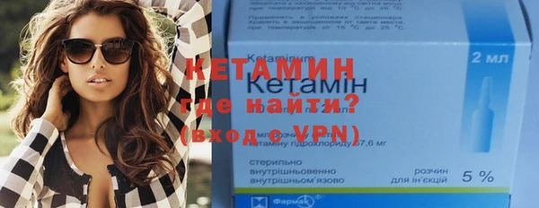 индика Алексин