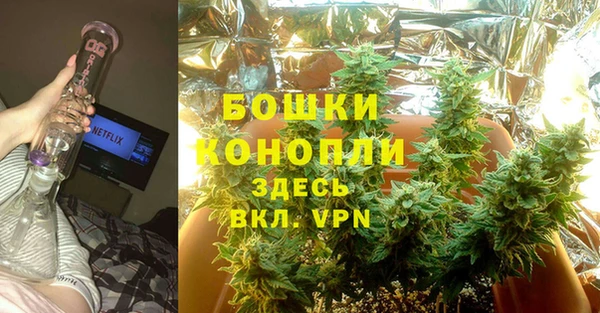 мет Арсеньев