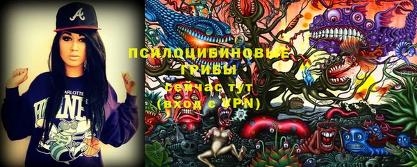 круглые Алзамай