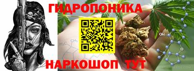 не бодяженный Ачхой-Мартан