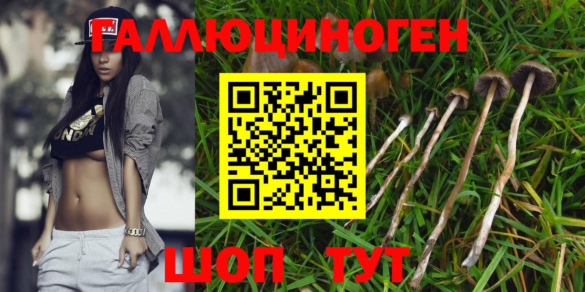 Белорецк  Псилоцибиновые грибы Psilocybe  Вход с VPN 