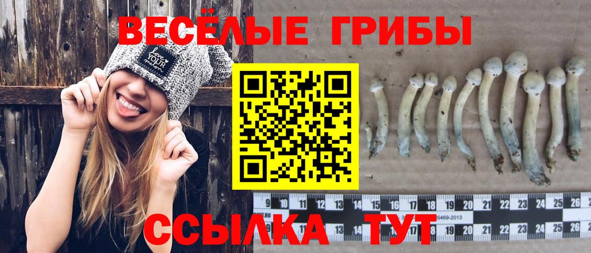 Псилоцибиновые грибы ЛСД Белорецк